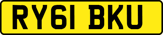 RY61BKU