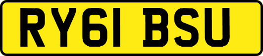 RY61BSU