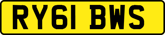 RY61BWS