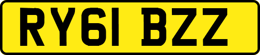 RY61BZZ