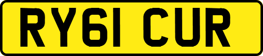 RY61CUR