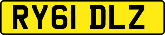 RY61DLZ