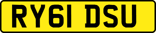 RY61DSU