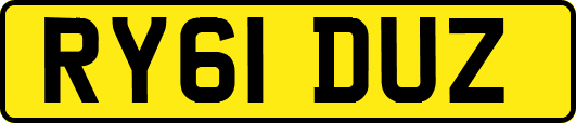 RY61DUZ