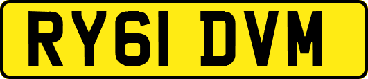 RY61DVM