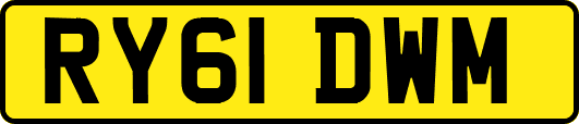 RY61DWM