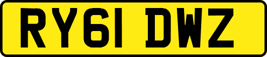 RY61DWZ