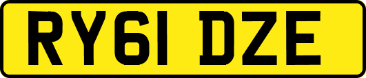 RY61DZE