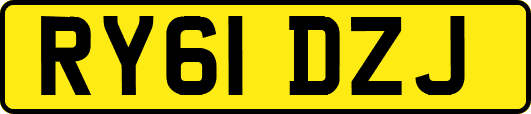 RY61DZJ