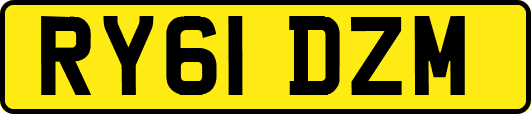 RY61DZM
