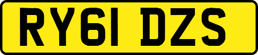 RY61DZS