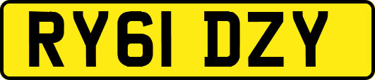 RY61DZY