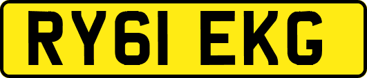 RY61EKG