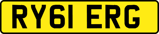 RY61ERG