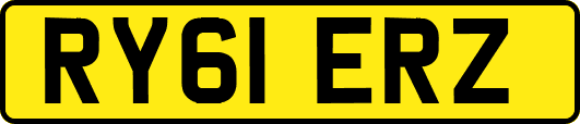 RY61ERZ