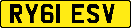 RY61ESV