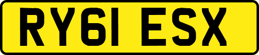 RY61ESX