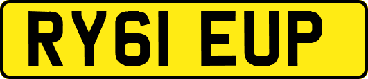 RY61EUP