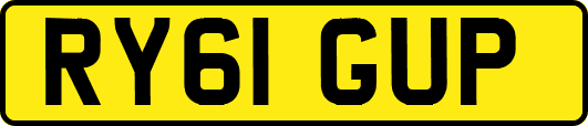 RY61GUP