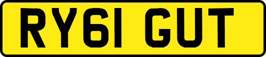 RY61GUT