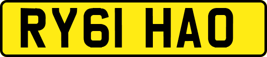 RY61HAO