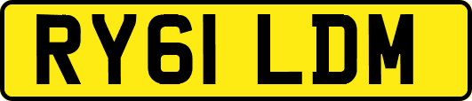 RY61LDM