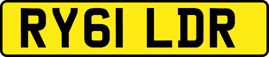 RY61LDR
