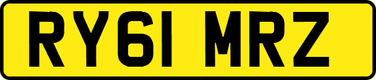 RY61MRZ