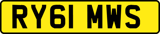 RY61MWS