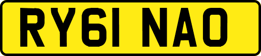 RY61NAO