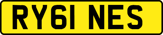 RY61NES