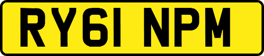 RY61NPM