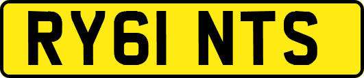 RY61NTS