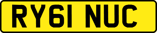 RY61NUC