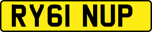 RY61NUP