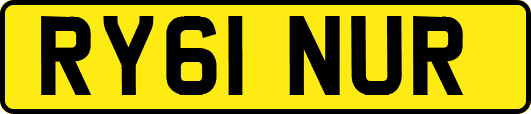 RY61NUR
