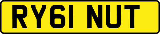 RY61NUT