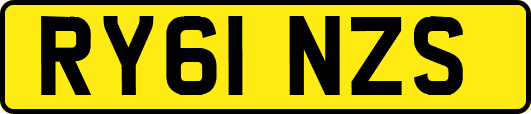 RY61NZS