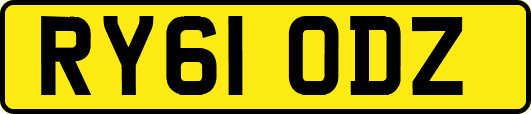 RY61ODZ