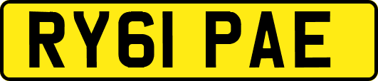 RY61PAE
