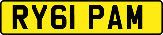 RY61PAM