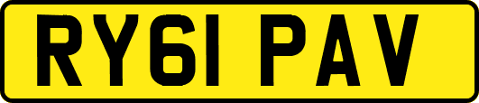 RY61PAV
