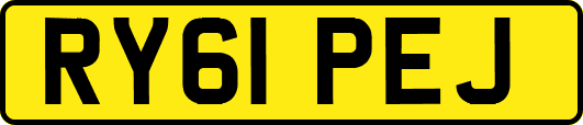 RY61PEJ