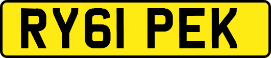 RY61PEK