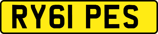 RY61PES