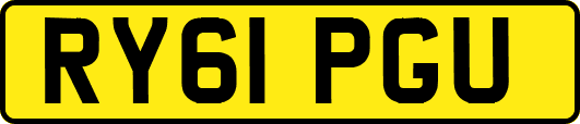 RY61PGU