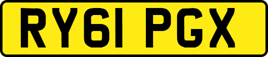 RY61PGX