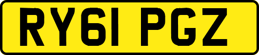 RY61PGZ