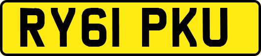 RY61PKU