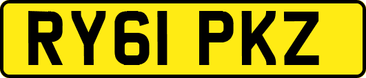 RY61PKZ